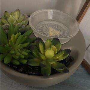 Green Succulent Decorative Bowl